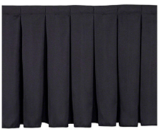 Pleated Stage Skirt